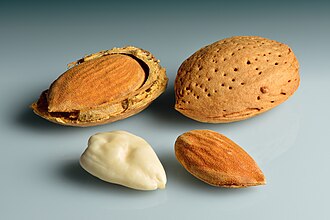 Wood-Fired Roasted Sea Salt California Almonds